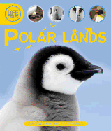 Life Cycles: Polar Lands