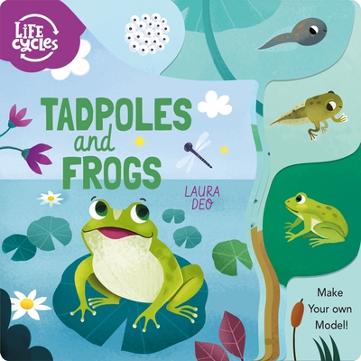 Life Cycles: Tadpoles and Frogs: Make Your Own Model! - Savery, Annabel