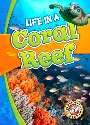 Life In A Coral Reef - Schuetz, Kari