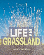 Life in a Grassland