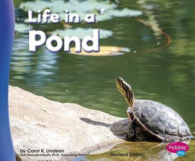 Life in a Pond - Lindeen, Carol K