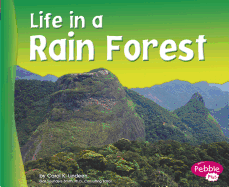 Life in a Rain Forest