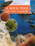 LIFE IN A ROCKPOOL ON SEASHORE