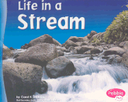 Life in a Stream