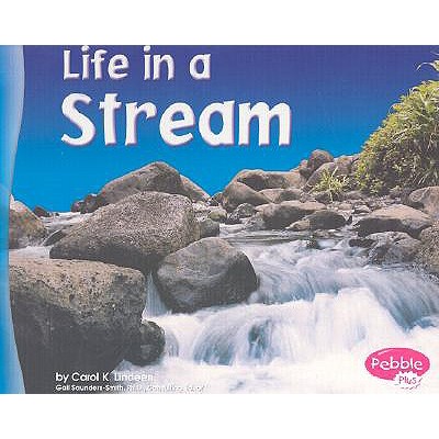 Life in a Stream - Lindeen, Carol K