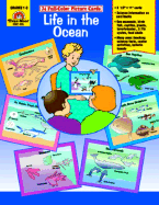 Life in the Ocean /Picture Cards (24 Cards)