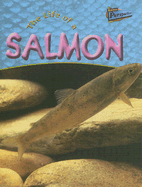 Life of a Salmon