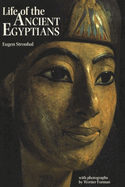 Life of the Ancient Egyptian