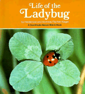 Life of the Ladybug