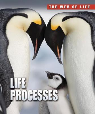 Life Processes - Claybourne, Anna