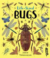 Life-Sized Bugs