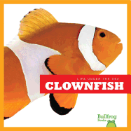 Life Under the Sea: Clownfish