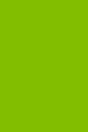 Lime Green 190 - Lined Notebook: Wide Ruled, Soft Cover, 6 X 9 Journal, 190 Pages