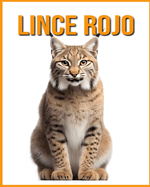 Lince rojo: La gu?a esencial de este incre?ble animal con fotos incre?bles