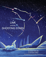 Link and the Shooting Stars