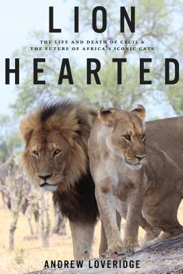 Lion Hearted: The Life and Death of Cecil & the Future of Africa's Iconic Cats - Loveridge, Andrew