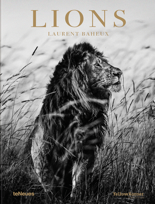 Lions - Baheux, Laurent
