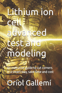 Lithium ion cell advanced test and modeling: An executive guide to cut corners in a smart way, save time and cost