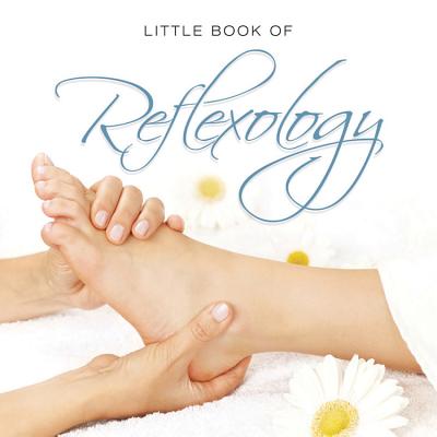 Little Book of Reflexology - Brachet Michelle