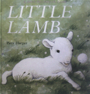 Little Lamb - 