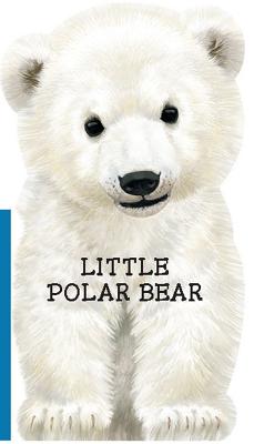 Little Polar Bear - 