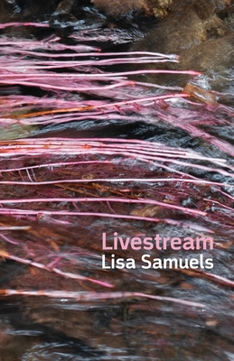 Livestream - Samuels, Lisa