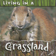 Living in a Grassland - Whitehouse, Patty