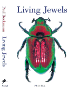 Living Jewels: The Natural Design of Beetles