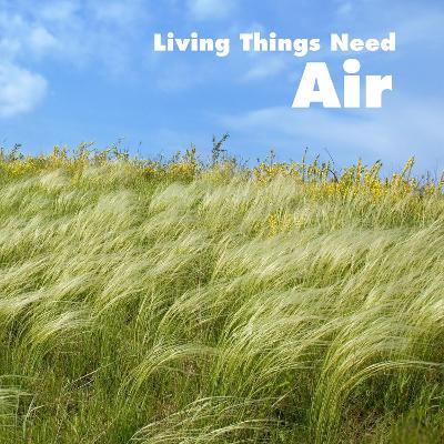 Living Things Need Air - Aleo, Karen