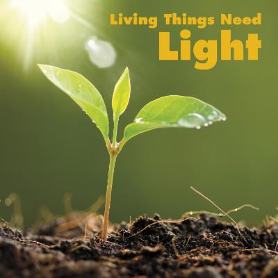 Living Things Need Light - Aleo, Karen
