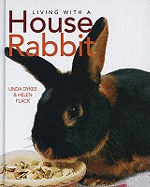 Living with a House Rabbit