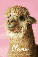 Llama Remember My Password: Deluxe Password Book