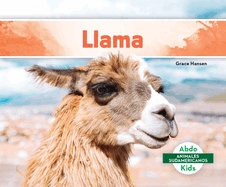 Llama (Spanish Version)