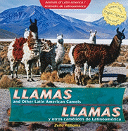 Llamas and Other Latin American Camels / Llamas Y Otros Cam?lidos de Latinoam?rica
