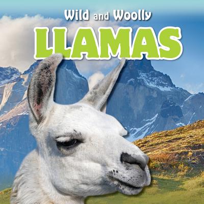 Llamas - Macdhui, Lori