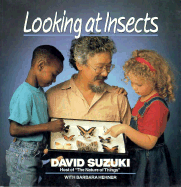 Looking at Insects