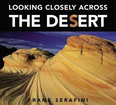 Looking Closely Across the Desert - 