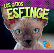 Los Gatos Esfinge