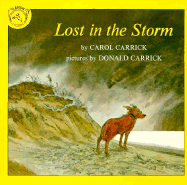 Lost in the Storm - Carrick, Carol