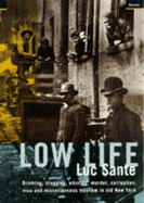 Low Life: Drinking, Drugging, Whoring, Murder, Corruption, Vice and Miscellaneous Mayhem in Old New York