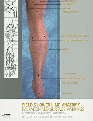 Lower Limb Anatomy, Palpation & Surface Markings - Field, Derek, and Hutchinson, Jane Owen, Ed