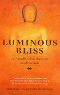 Luminous Bliss: Self-Realisation through Meditation - Rinpoche, Traleg Kyabgon