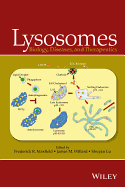 Lysosomes: Biology, Diseases, and Therapeutics