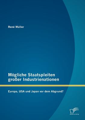 Mgliche Staatspleiten groer Industrienationen: Europa, USA und Japan vor dem Abgrund? - Mller, Ren