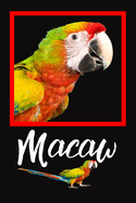 Macaw: This Customized, Easy to Use, Daily Bird Log Book is Perfect to Look After All Your Bird's Needs. Great For Recording Feeding, Water, Cleaning and Bird Health & Activities.