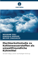 Machbarkeitsstudie zu Kohlenwasserstoffen als umweltfreundliche Khlmittel