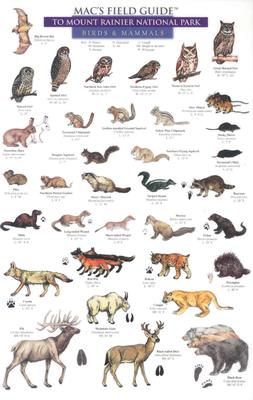 Mac's Field Guides: Mount Rainier National Park Mammals & Birds - Macgowan, Craig