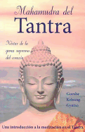 Mahamudra del Tantra (Mahamudra Tantra): Una Introduccion a la Meditacion En El Tantra