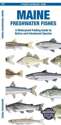 Maine Freshwater Fishes: A Waterproof Folding Guide to Native and Introduced Species - Morris, Matthew, and Kavanagh, Jill (Creator)