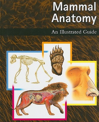 Mammal Anatomy: An Illustrated Guide - Reference Staff, Marshall Cavendish (Editor)